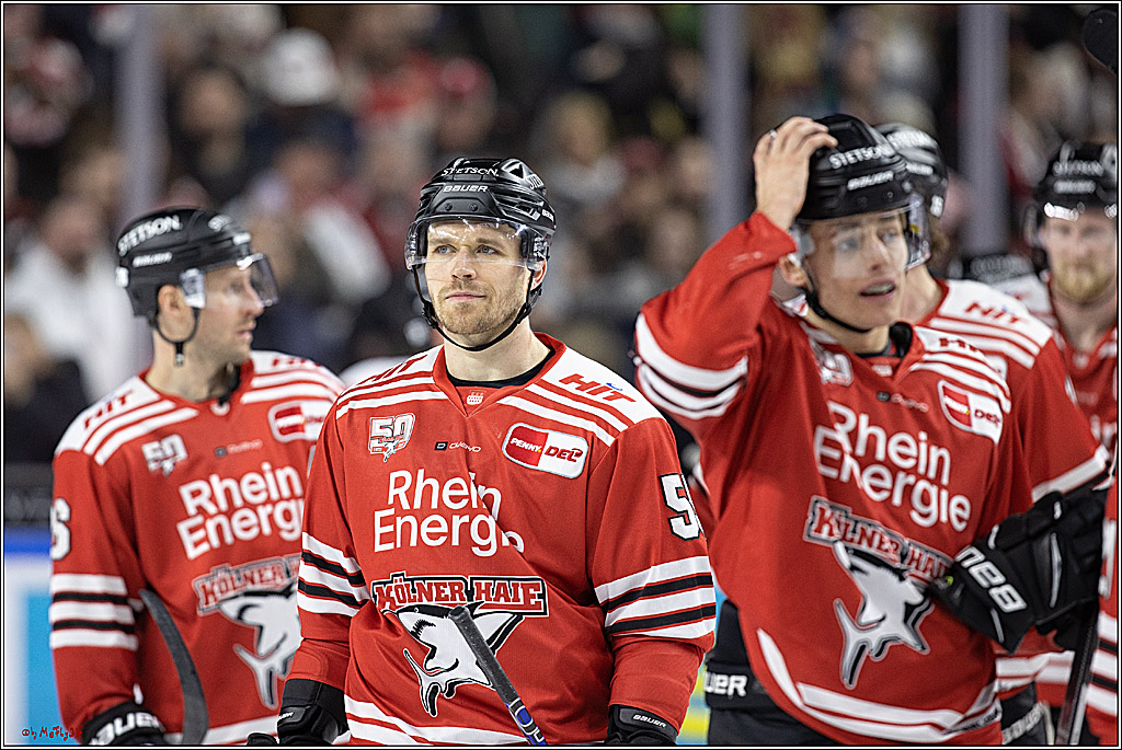PENNY DEL;  Koelner Haie - Bietigheim Steelers; Koeln, 22.01.2023
